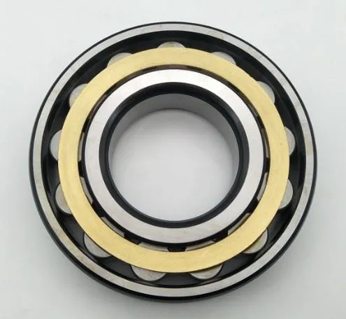 سلنڈر رولر بیئرنگ RN307 C3 C4