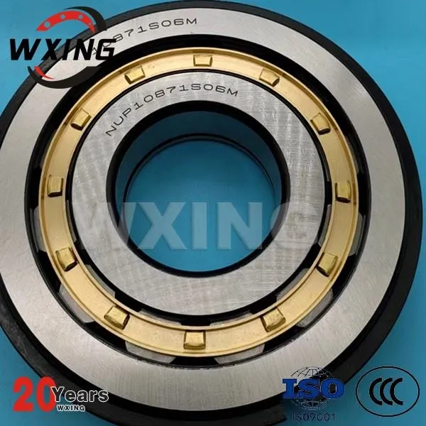 NUP10871 S06M-سلنڈر رولر بیئرنگ