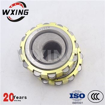 RN206M ڈبل قطار سنکی رولر بیئرنگ 30x53.5x16mm Rodamientos RN206M RN206M,RN205M,RN207M