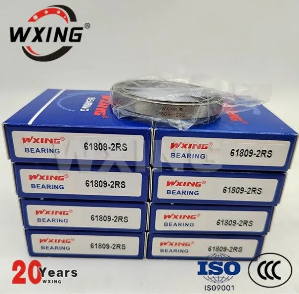 میرین ٹرانسپورٹ کے لیے SS6022 گہری نالی بال بیرنگ